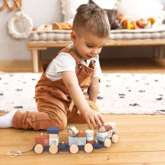 Train d'éveil à tirer Singe