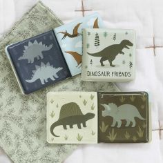 Livre de bain amis des Dinosaures