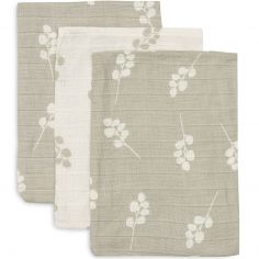 Lot de 3 gants de toilette en gaze de coton Twig Olive Green - Jollein