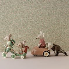 Tricycle et son abri Souris vert