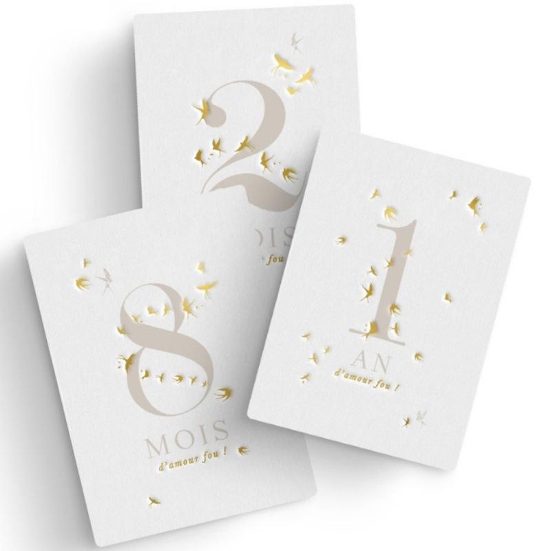 Cartes étapes 1ère année de bébé Hirondelles (12 cartes) Zakuw