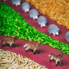 Bouteille sensorielle Spy Forest