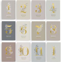 Cartes étapes 1ère année de bébé Poésie (12 cartes)  par Zakuw
