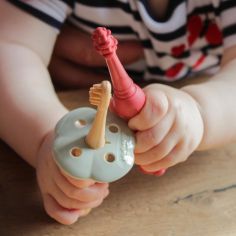 Kit éducatif poussée dentaire