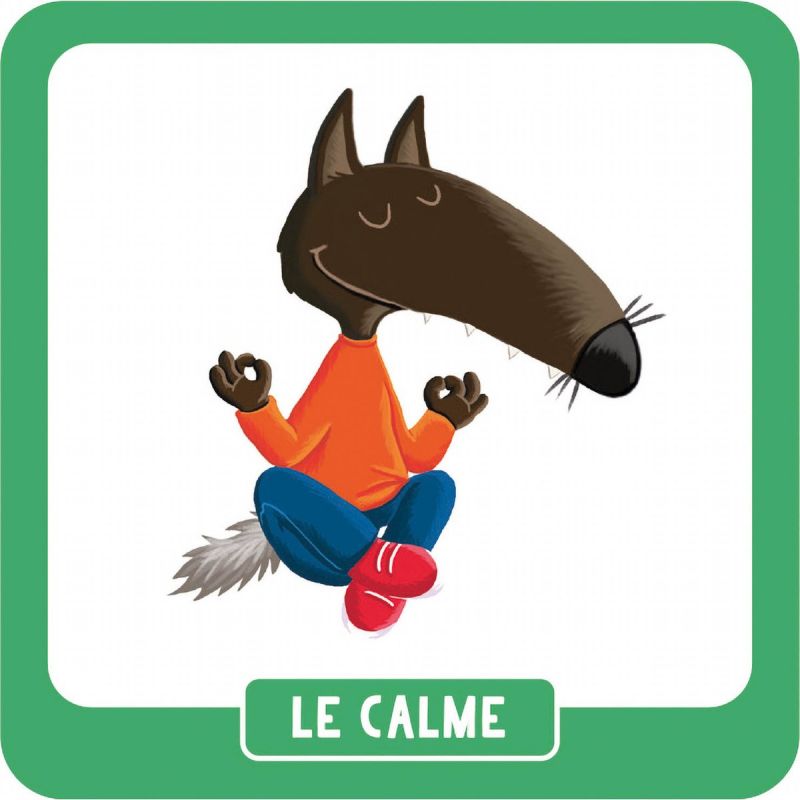 P'tit Loup Mon mémo des émotions Auzou Editions Produit 4