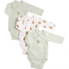 Lot de 3 bodies Botanica (1 mois) - Sauthon