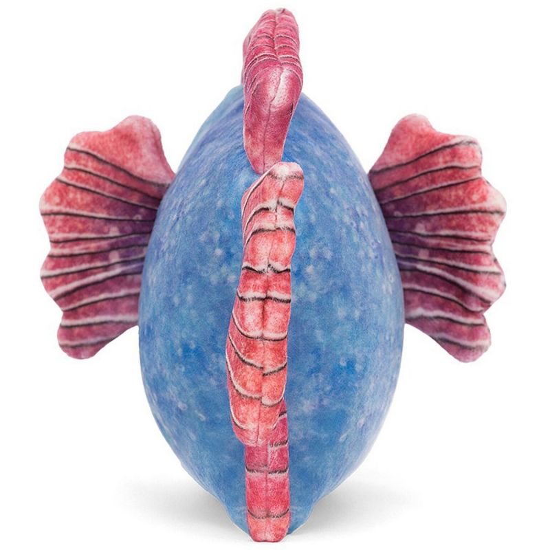 Peluche Poisson bleu (16 cm) Jellycat Produit 3