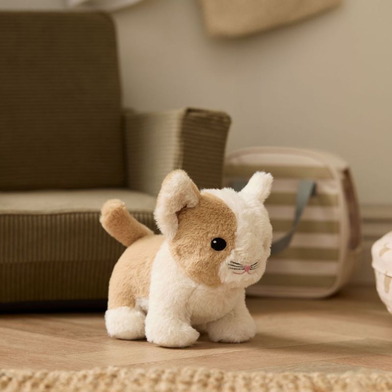 Chat et son sac de transport Kid's Hub Kid's Concept Ambiance 4