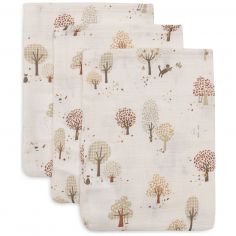 Lot de 3 gants de toilette en gaze de coton Tiny Park - Jollein