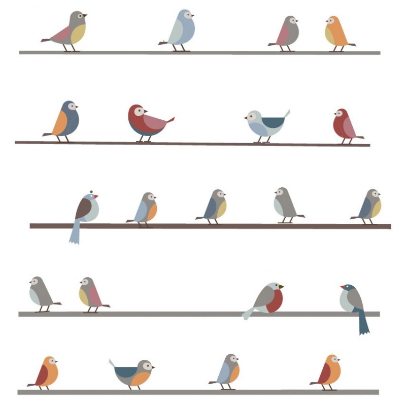Stickers Petits oiseaux sur un fil AFKliving