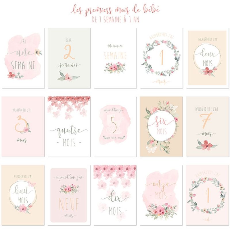 Cartes photos souvenirs rose (15 cartes) Spiritus Naturae
