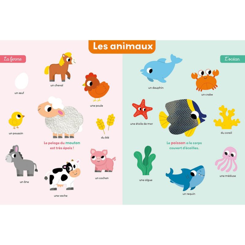 Mon premier imagier à toucher - Reconditionné Auzou Editions Produit 3
