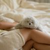 Peluche veilleuse Phoque nature bio gris Moonie Ambiance 3