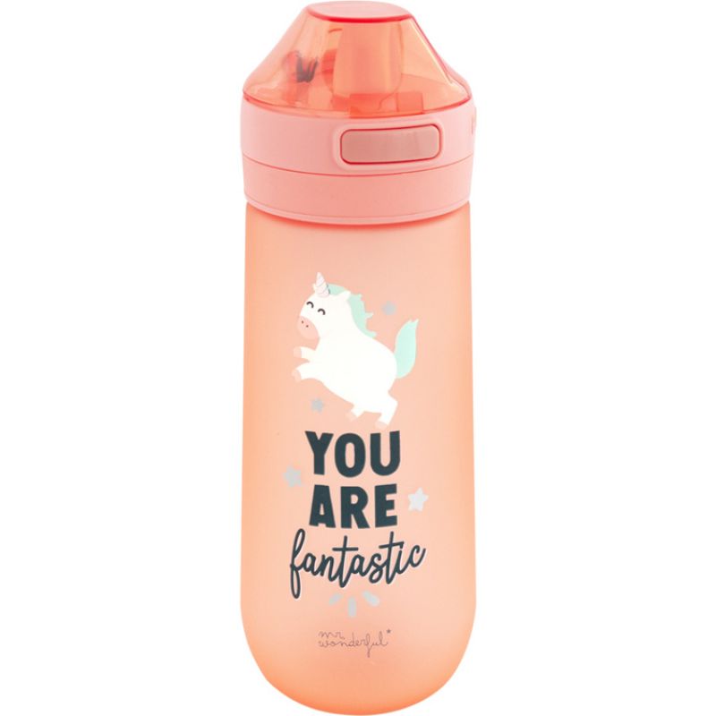 Gourde licorne You are fantastic (650 ml) Mr. Wonderful