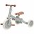 Variation Vert sauge du produit Tricycle 4 en 1 Pure Sauge de la marque Little Dutch
