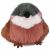Variation Gris du produit Peluche LES CUI-CUI PARADIS Moineau (15 cm) de la marque Histoire d'Ours