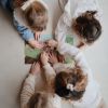 Autocollants réutilisables Sticker Book Farm Mushie Ambiance 6