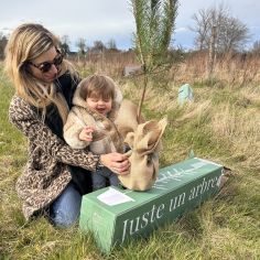 Arbre à offrir Pin Sylvestre - Immortalité et Persévérance