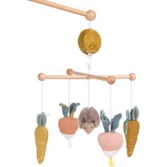 Mobile musical Trois petit lapins - Moulin Roty