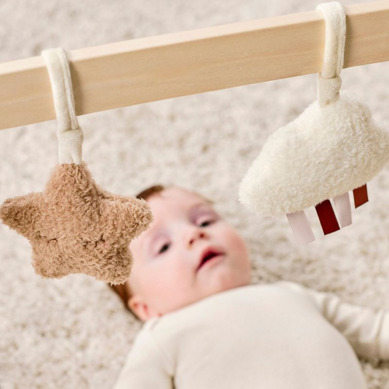 Arche d'activités en bois Teddy Nattou Ambiance 5