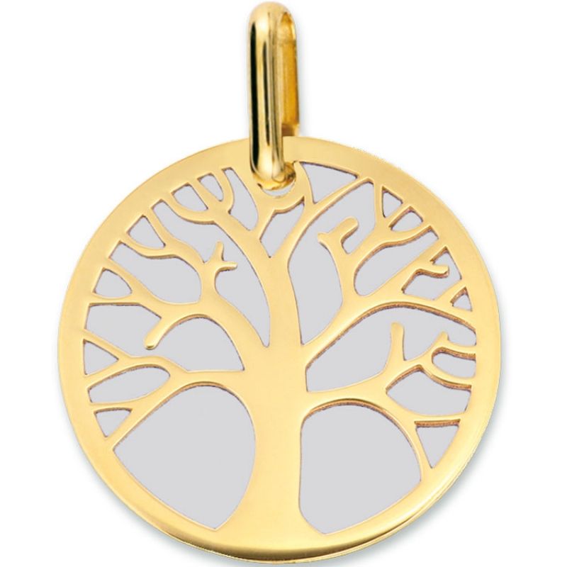 Médaille Arbre de vie personnalisable (acier et or jaune 750°) Lucas Lucor