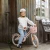Panier de vélo à personnaliser Pin and Ride Rose poudré Banwood Ambiance 5