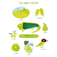 Livre Mes premières couleurs à toucher - Reconditionné