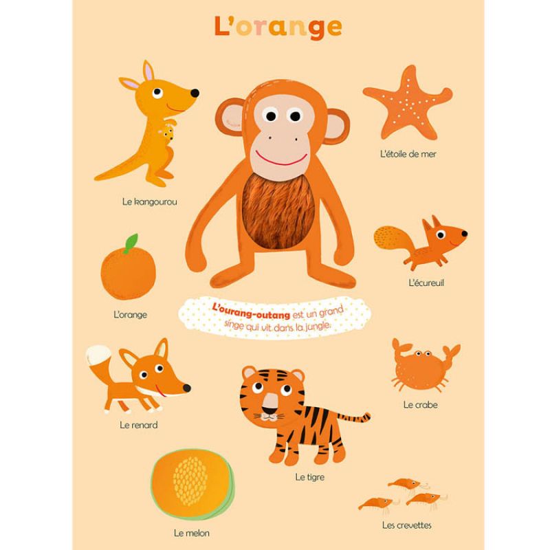 Livre Mes premières couleurs à toucher - Reconditionné Auzou Editions Produit 4