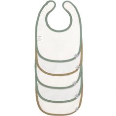 Lot de 5 bavoirs en éponge à velcro About Friends raton laveur