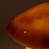 Lampe veilleuse champignon Chocolat Egmont Toys Ambiance 7