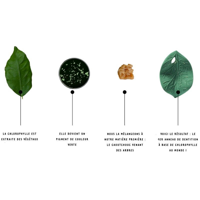 Feuille de Chlorophylle jouet de dentition Oli & Carol Produit 8