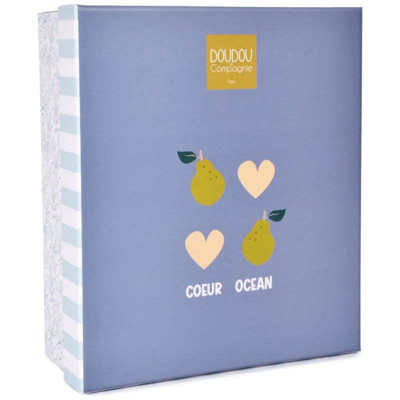 Doudou Lapin Vanille Fraise bleu (25 cm) Doudou et Compagnie Packaging 4