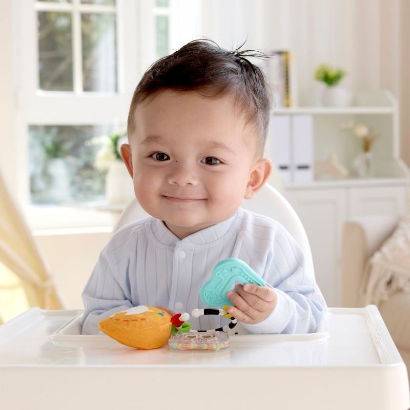 Hochet ABC Hape Ambiance 6