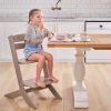 Chaise haute évolutive Nala Grise Geuther Ambiance 2