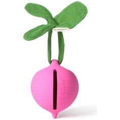 Range sucette Ramona le radis - Oli & Carol