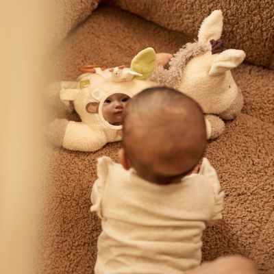 Peluche d'activités Donkey Dinky