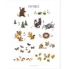Affiche nombres Woodland Animals (30 x 40 cm) - Lilipinso