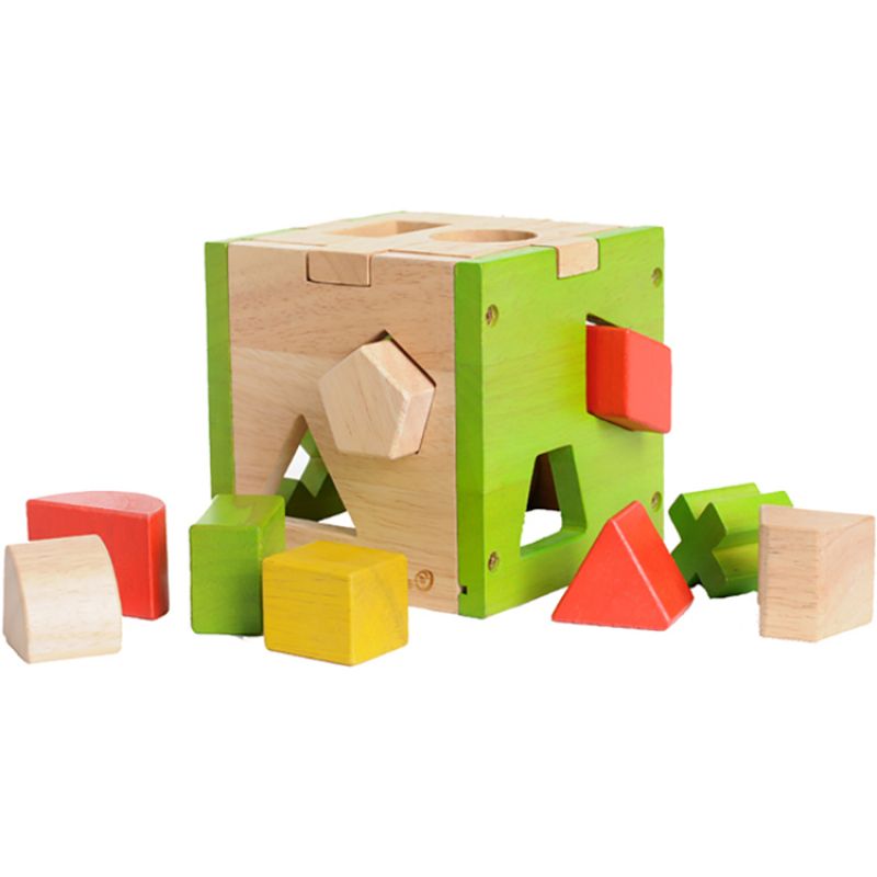 Cubes à formes EverEarth