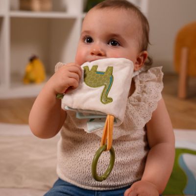 Livre en tissu bébé Les Amis Dinos