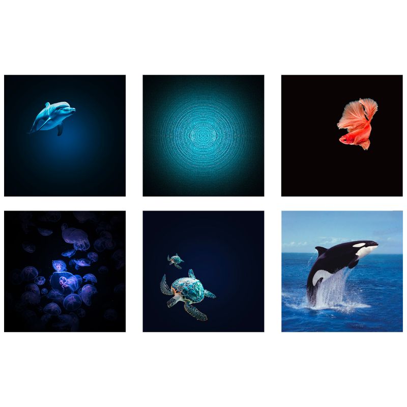 Planétarium projecteur d'images thème Océan KIDYSTAR KIDYWOLF Produit 6