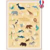 Abécédaire des animaux du monde bilingue fond jaune (A3)  - Papier Curieux