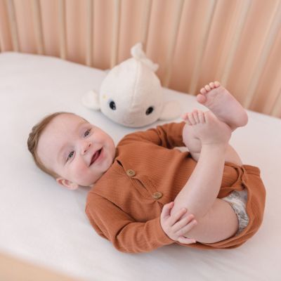 Veilleuse peluche bruits blancs et roses Beluga - Reconditionné