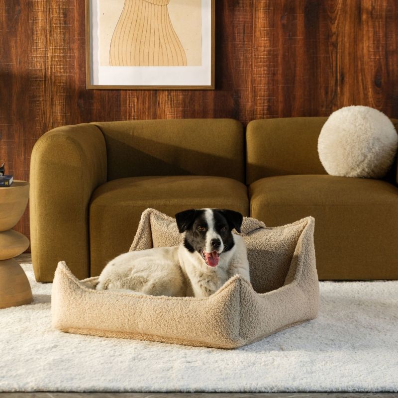 Fauteuil pour animaux L Biscuit Wigiwama Ambiance 2