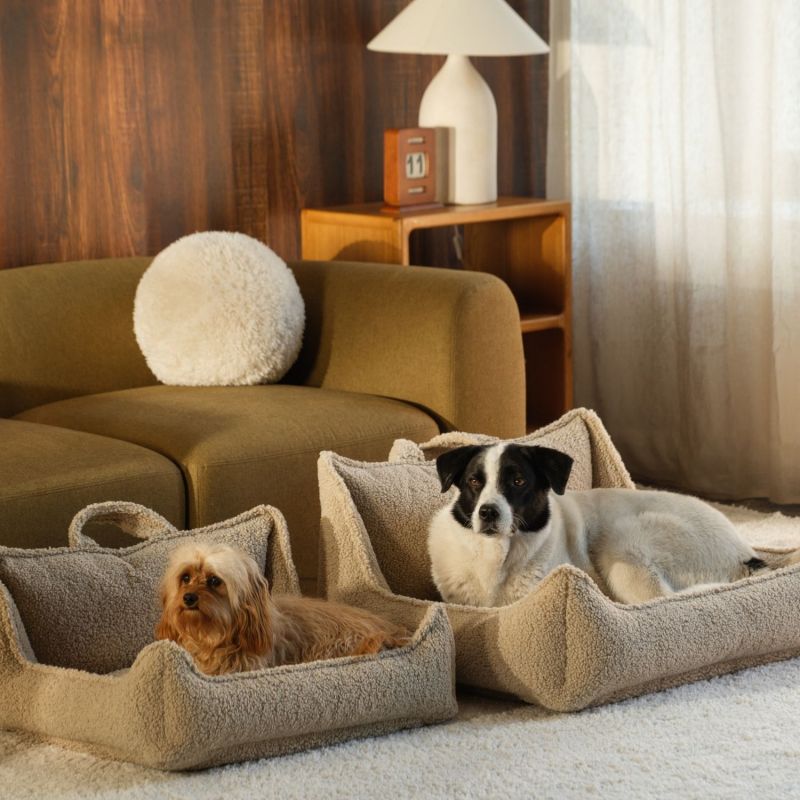 Fauteuil pour animaux L Biscuit Wigiwama Ambiance 3