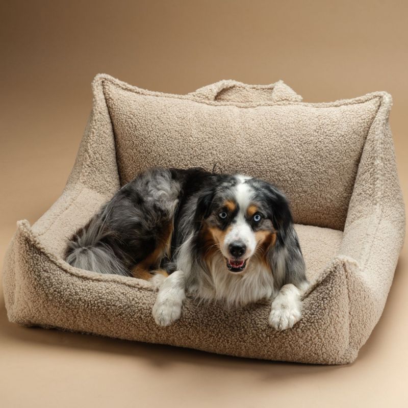 Fauteuil pour animaux L Biscuit Wigiwama Ambiance 4
