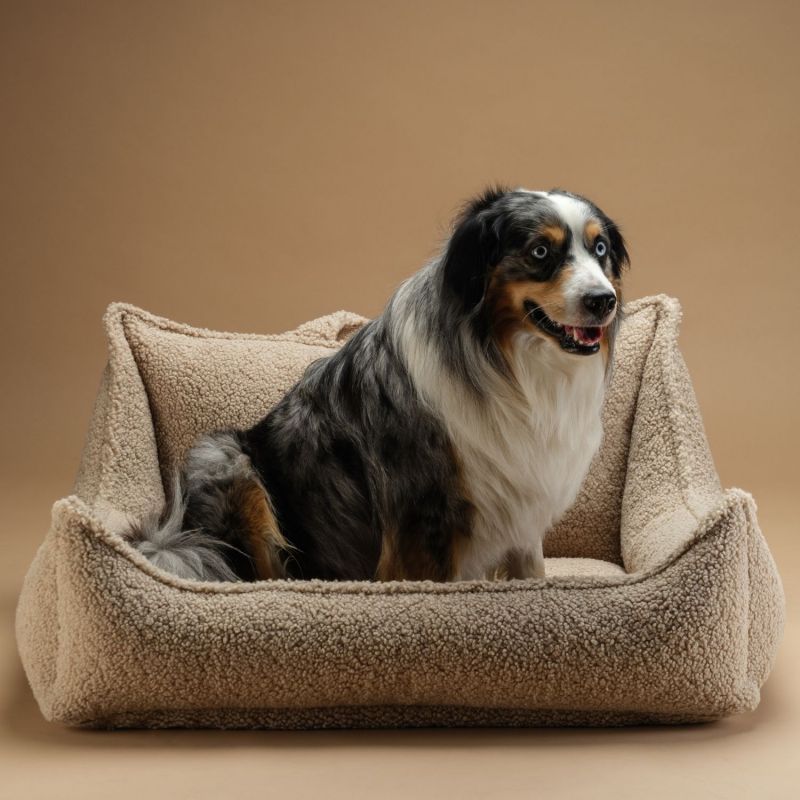 Fauteuil pour animaux L Biscuit Wigiwama Ambiance 5
