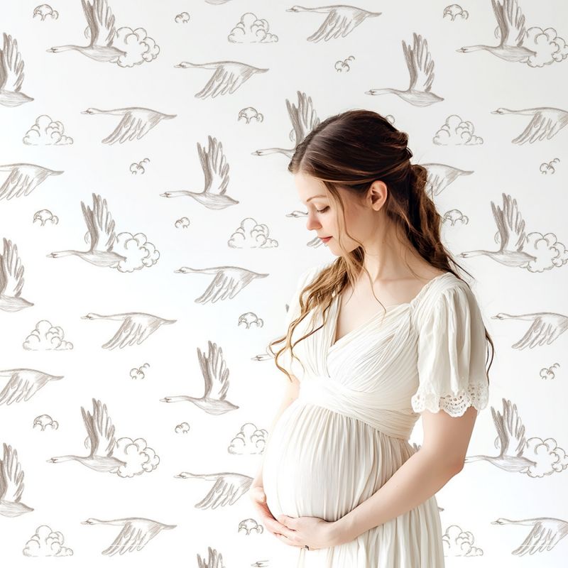 Papier peint Oies et nuages sepia (50 cm x 10m)  Lilipinso Ambiance 5