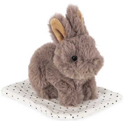 Peluche Lapin et sa caisse