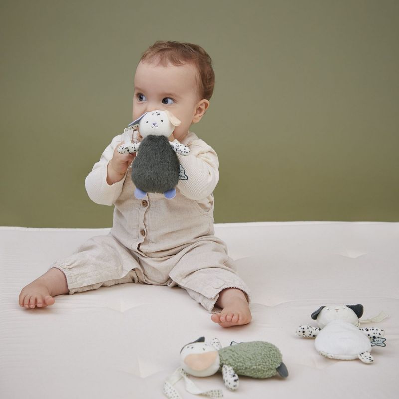 Lot de 3 doudous sensoriels Chiens Kaloo Ambiance 6