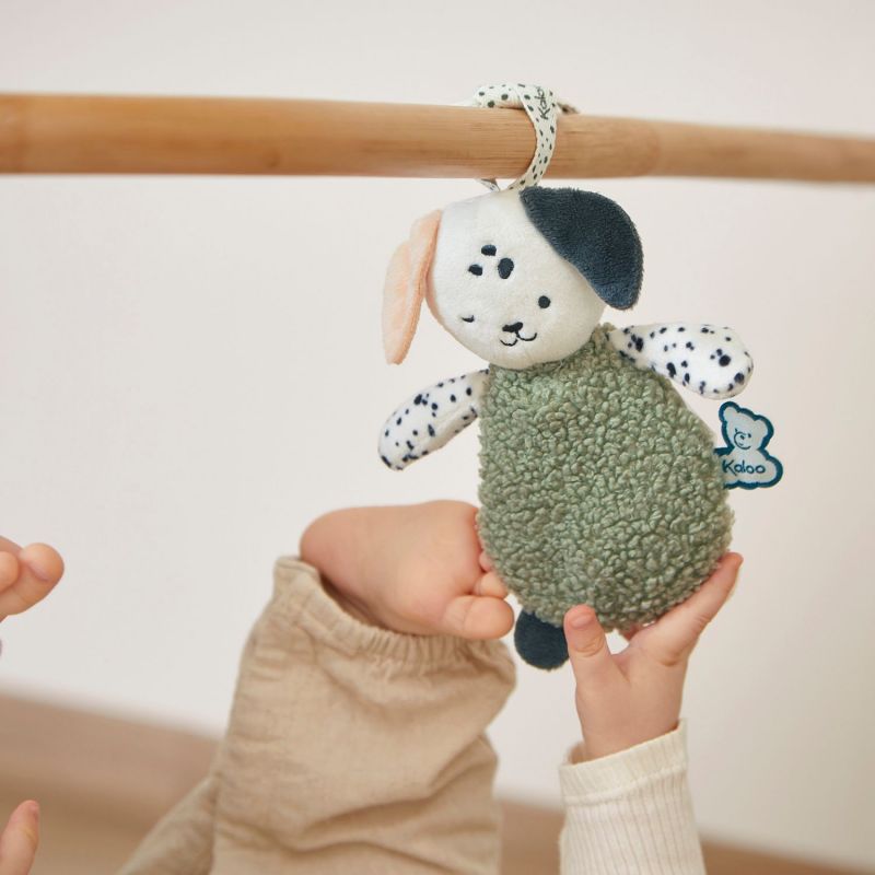 Lot de 3 doudous sensoriels Chiens Kaloo Ambiance 8